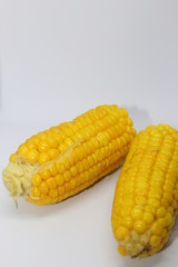 Yellow Corn in White Background 