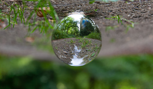 Glaskugel liegt auf einem Waldweg Welt umgedreht verdreht Blick durch die Kugel Crystal ball