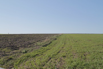 Obraz na płótnie Canvas plowed field in spring