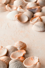 Light delicate shells found on the beach
