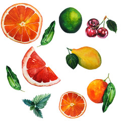 Set of Bright Juicy Watercolor Citrus Fruits