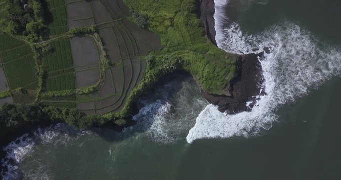 Aerial view of rice fields and Kedungu beach, Bali, Indonesia