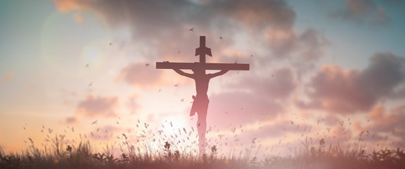 Silhouette Jesus christ crucifix on cross in good friday risen in easter day concept for Christian praise for holy spirit God, Catholic church panoramic landscape background. resurrection sunday