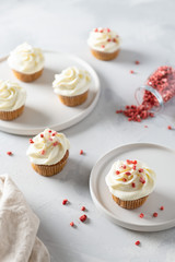 Sweet carrot cupcakes with whipped cream and dried fruits on white background. Bakery, confectionery banner, cookbook recipe, menu. Side view