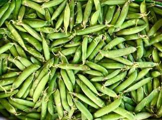 fresh green beans