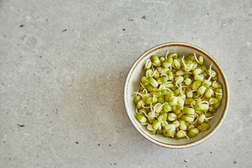 Bean seedlings on light background