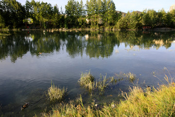 Anchorage, Alaska / USA - August 08, 2019: The river in Anchorage, Anchorage, Alaska,  USA