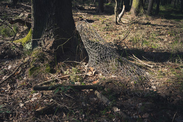 Obraz premium Wald Umweltverschmutung