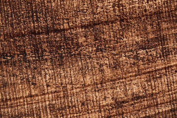 rough wood closeup for background or texture