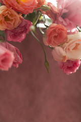 Beautiful background eustoma flowers on pink background for holiday illustration