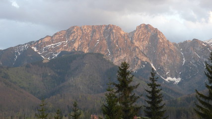 Tarty Giewont 