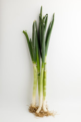 Fresh green onions on white background