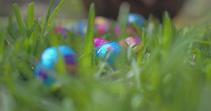 Easter Egg Hunt - 4k