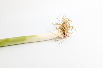Fresh green onions on white background