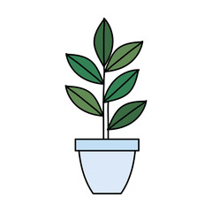 plant in house pot isolated icon vector illustration design