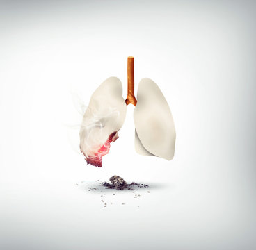 smoking kills concept design, lungs made of cigarette