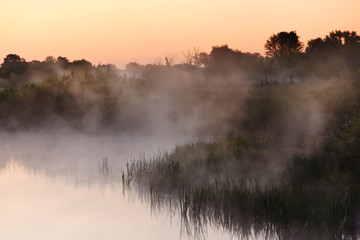 River in the early morning at dawn. Delicate dawn sky and fog rising above the water, lush greenery on the banks. Summer spring wild landscape by the river. Selective soft focus.