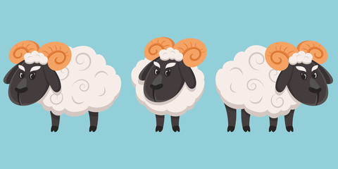 Male sheep in different poses. Farm animal in cartoon style.