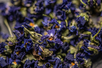 filled frame close up of purple viola violeta odorata dry dried blossom flower heads  tie mixture  - 336361038