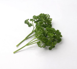 bunch of fresh curly parsley isolated on white
