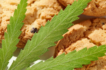 Cannabis CBD Cannabidiol Concept of Cooking with Hemp Herb. Medicinal Edibles. Cookies with cannabis leaf macro. Treatment of medical marijuana for use in food. Full Legalization in Canada and Uruguay