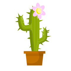 Cactus. Mexican green plant with spines. Element of the desert and southern landscape. Flowering succulents in a brown pot. Houseplant. White flower. Flat cartoon