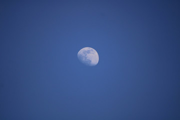 Naklejka na ściany i meble Lonely rising moon against the blue sky. Photo taken in April 2020.