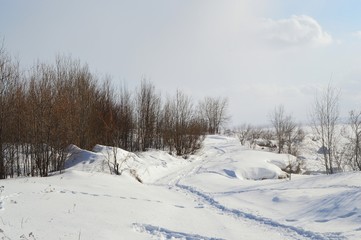 winter landscape with snow