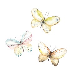 Set of colorful butterflies, watercolor vector illustration for your design.