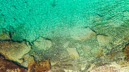 Aerial view: Green Sea Turtle swim in shallow water of coral reef in Caribbean Sea - Curacao