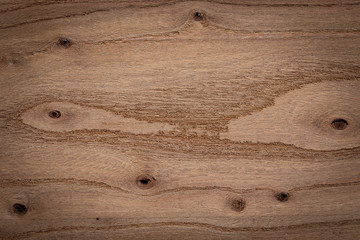  Elm texture background. Old elm wooden board texture.