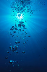 bubbles in water