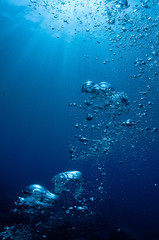 the bubbles of a diver