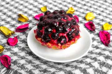 Fruit cake with currant covered with jelly on a saucer on a beautiful background