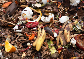 Organic food leftovers. Concept Organic waste, clean environment