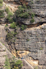 People on a cliff path near Wentworth Falls, Blue Mountains, Australia