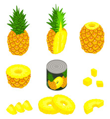 Pineapple icons set. Isometric set of pineapple vector icons for web design isolated on white background