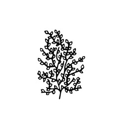 Black decorative floral branch isolated on the white background. Simple vector illustration for print, T-Shirt, bag. Natural eco emblem. Nature floral logo.