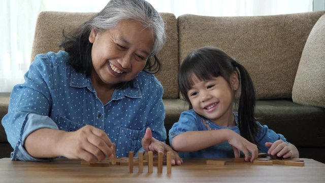 Grandmother and granddaughter stack play in a blocks game, Family relax time and holiday