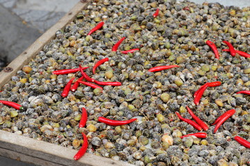 sundried salted clams with pepper cambodian street food