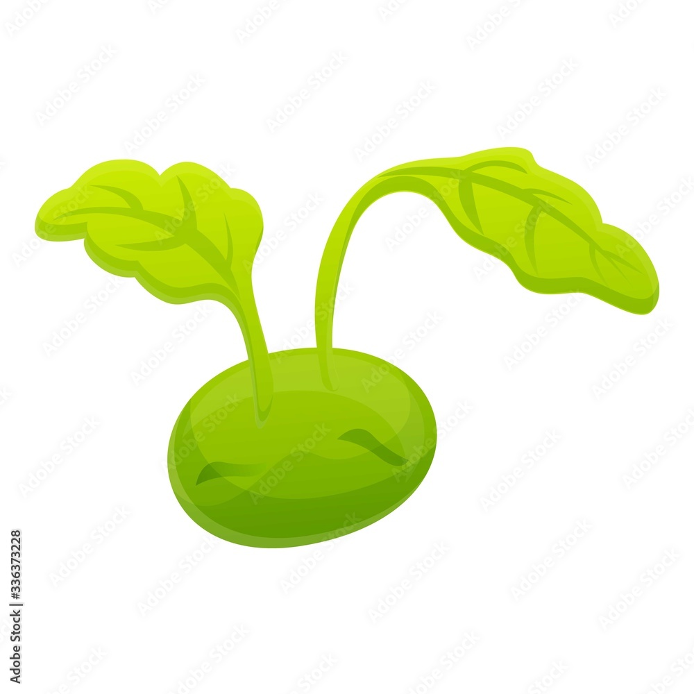Poster growing cabbage icon. cartoon of growing cabbage vector icon for web design isolated on white backgr