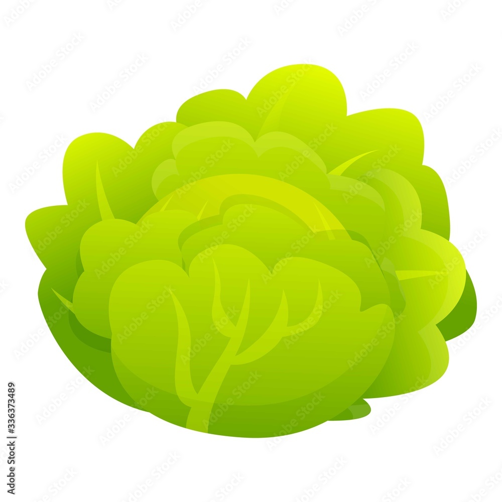 Poster salad cabbage icon. cartoon of salad cabbage vector icon for web design isolated on white background