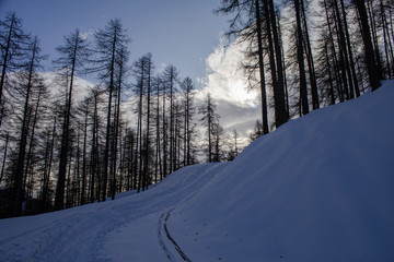 ski mountaineering trip to Argentera in the upper Stura Valley
