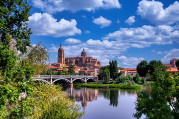Fototapeta premium Salamanca cathedral in Castilla y Leon, Spain.