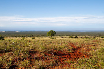 Landschaft im Addo Elephant Nationalpark in Südafrika