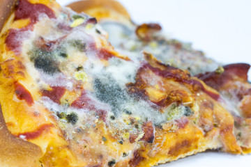 Moldy Pizza  on white background.