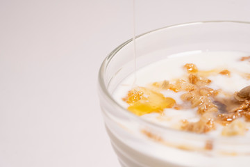 Macro shot - drop of mountain honey for granola and yogurt. The concept of a healthy diet, fitness