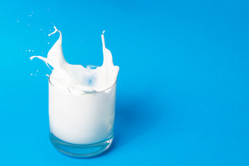Drip of milk, a glass of milk. on a blue background.Top view. Flat lay.