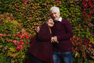 Elderly couple in love walking in the autumn park.