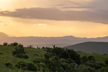 Sonnenuntergang im Addo Elephant Park in Südafrika